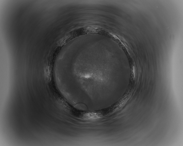 X0000100310759200806051455