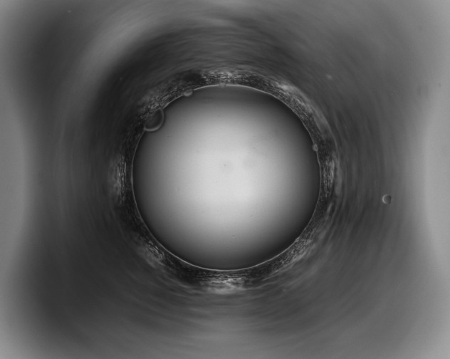 X0000100310760200806051455