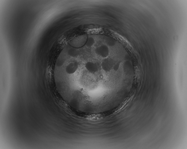 X0000100310761200806051456