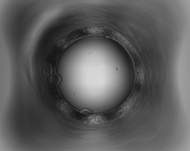 X0000100310762200806051456