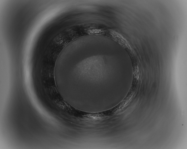 X0000100310763200806051456