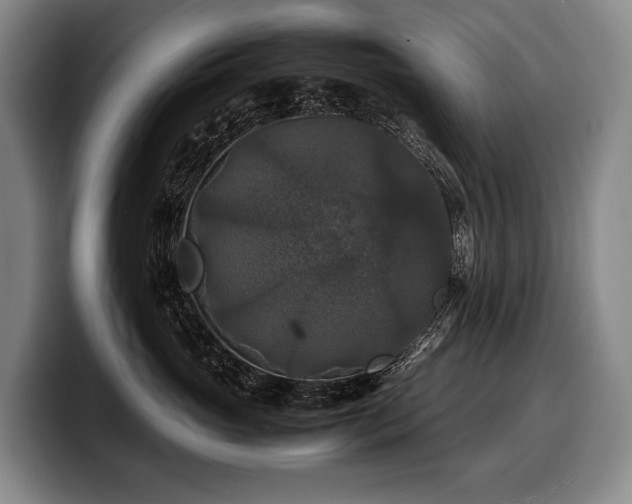 X0000100310765200806051456