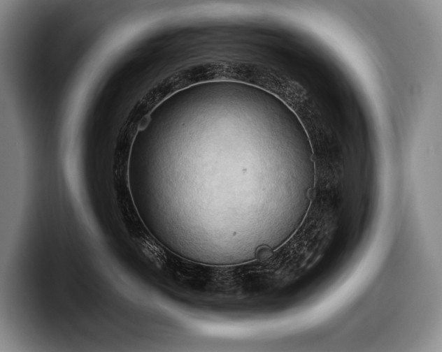 X0000100310766200806051456