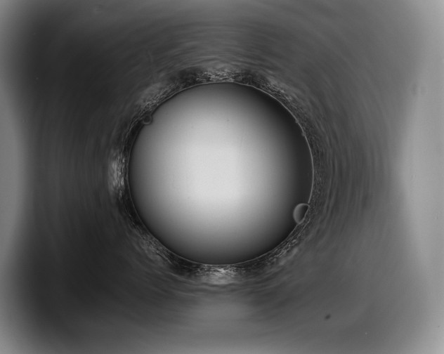 X0000100310768200806051456