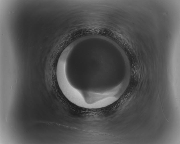 X0000100310769200806051455