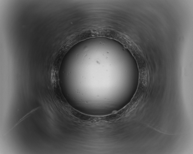 X0000100310770200806051455