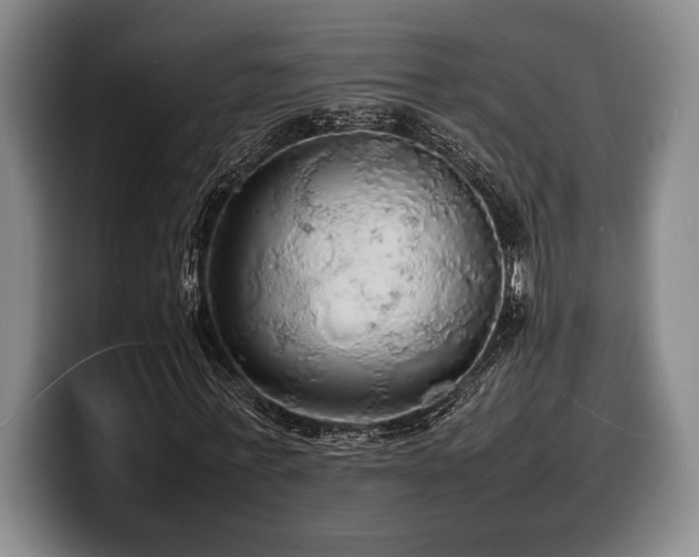 X0000100310771200806051455