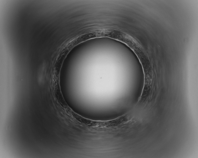 X0000100310773200806051455