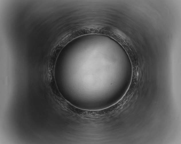 X0000100310774200806051455