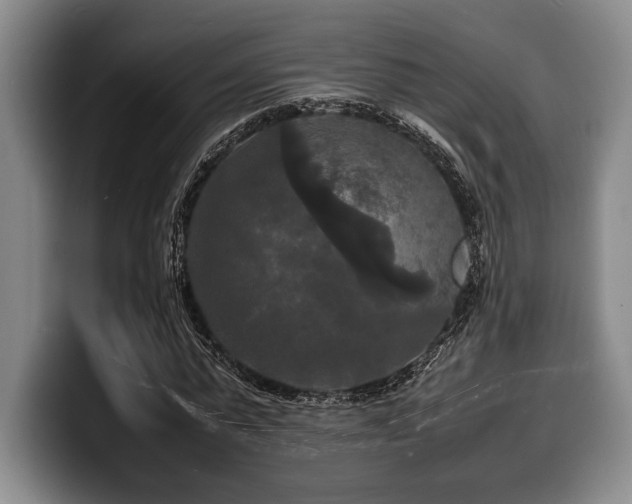 X0000100310775200806051455