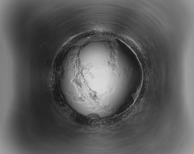 X0000100310776200806051455