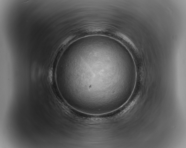 X0000100310777200806051455