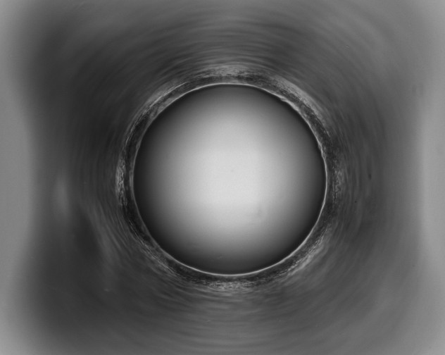 X0000100310778200806051455