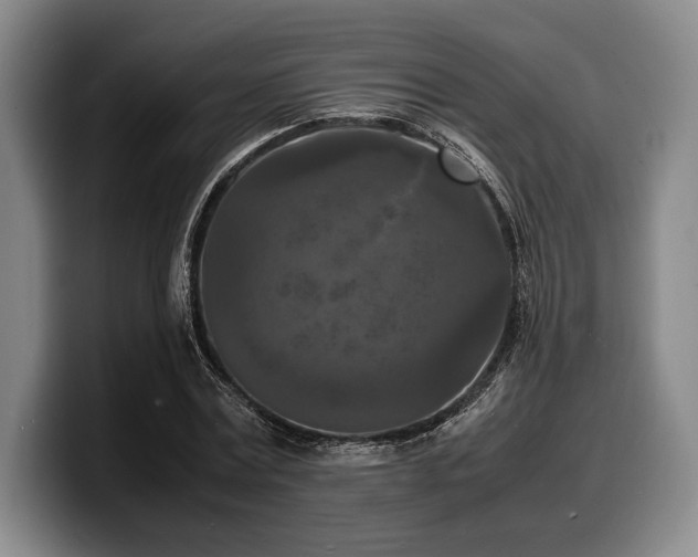 X0000100310779200806051455