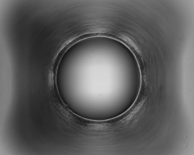 X0000100310781200806051455