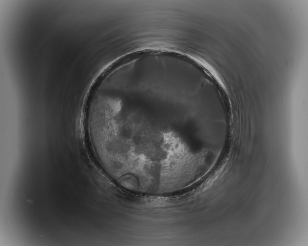 X0000100310783200806051455