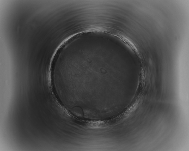 X0000100310784200806051455