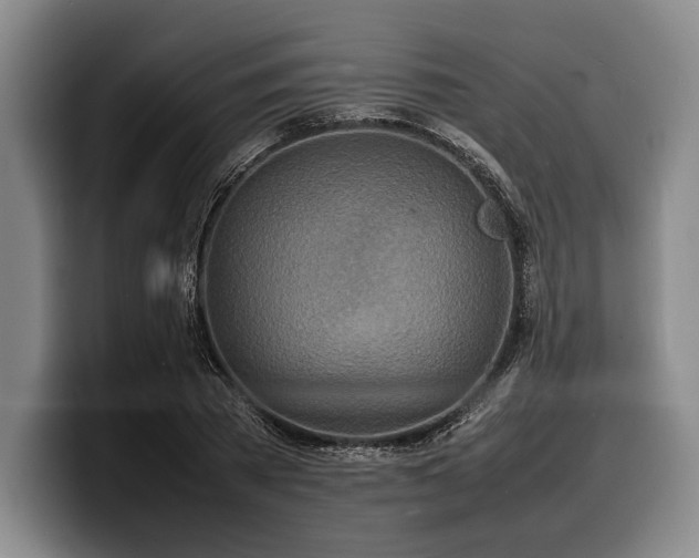 X0000100310785200806051455
