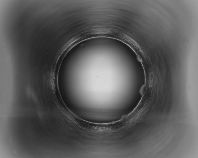 X0000100310786200806051455