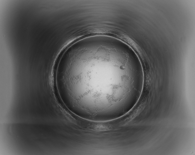 X0000100310787200806051455