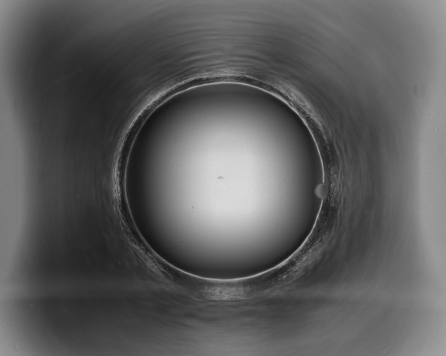 X0000100310789200806051455