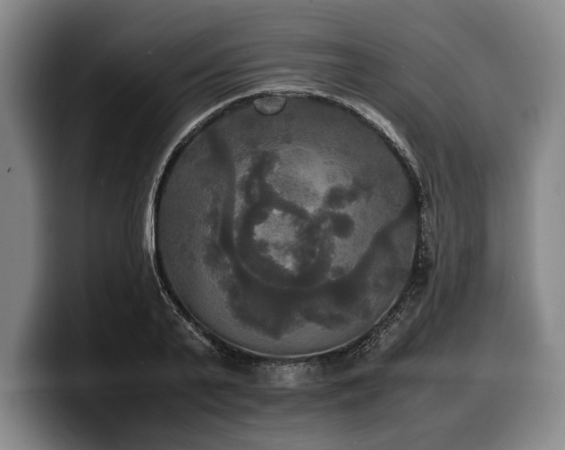 X0000100310791200806051455