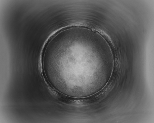 X0000100310792200806051455