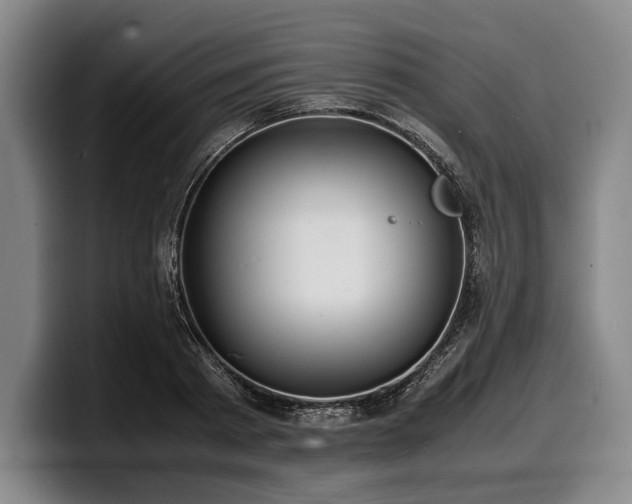 X0000100310793200806051455