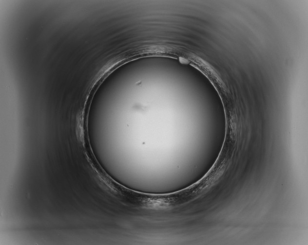 X0000100310794200806051455