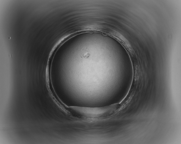 X0000100310796200806051455