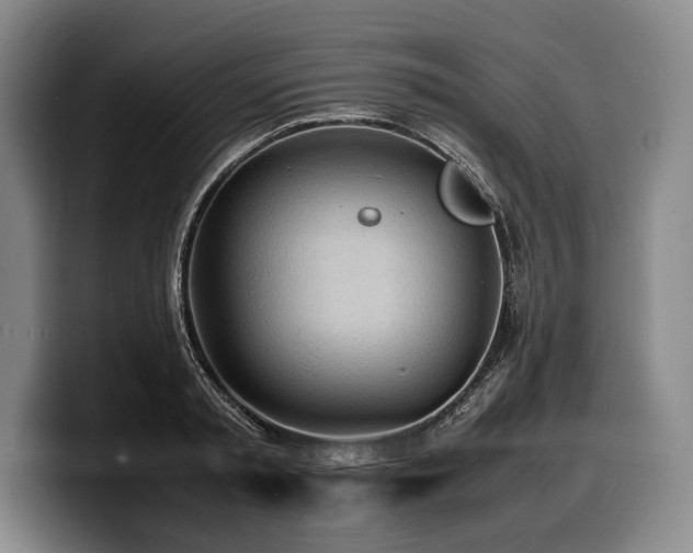X0000100310797200806051455