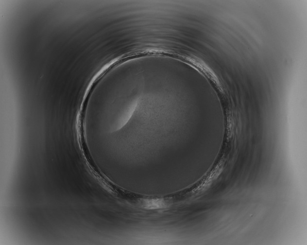 X0000100310798200806051455