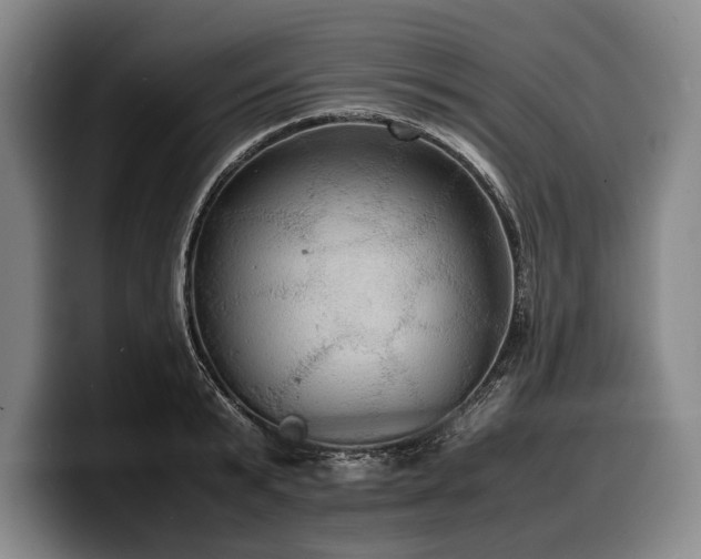 X0000100310799200806051455