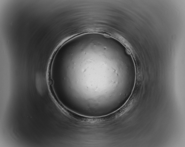 X0000100310803200806051455