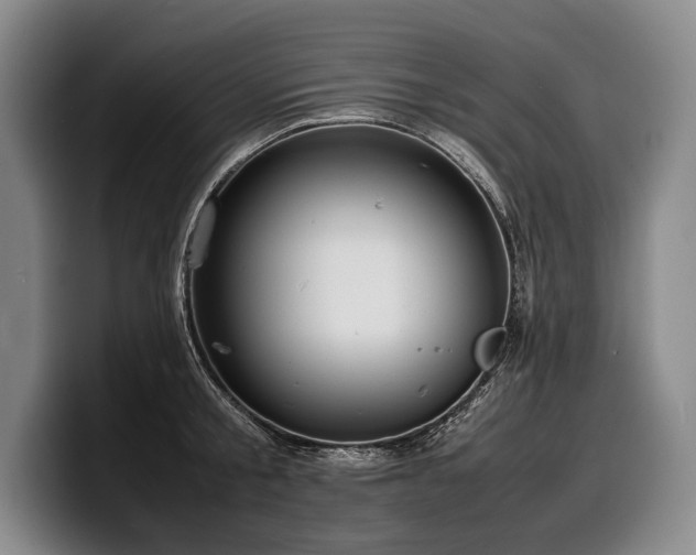 X0000100310805200806051455