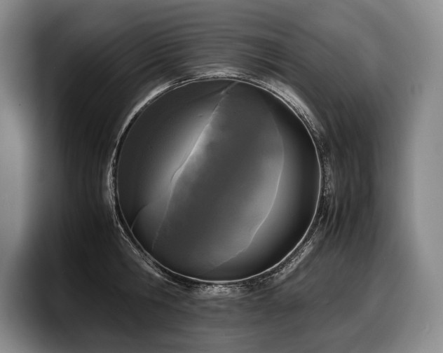 X0000100310806200806051454