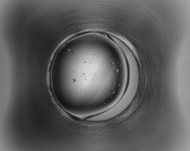X0000100310807200806051454