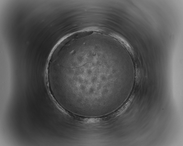 X0000100310808200806051454