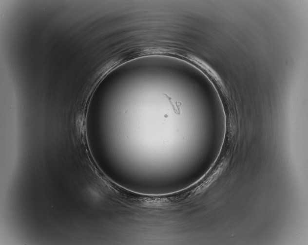 X0000100310809200806051454