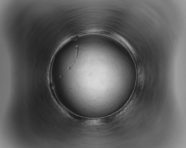 X0000100310810200806051454