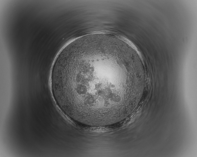 X0000100310811200806051454