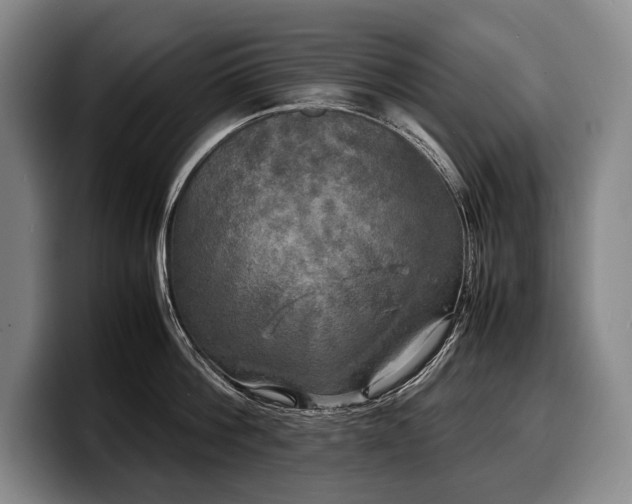 X0000100310812200806051454