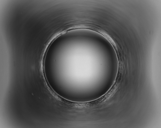 X0000100310813200806051454