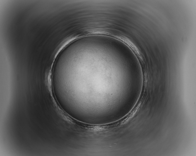 X0000100310814200806051454
