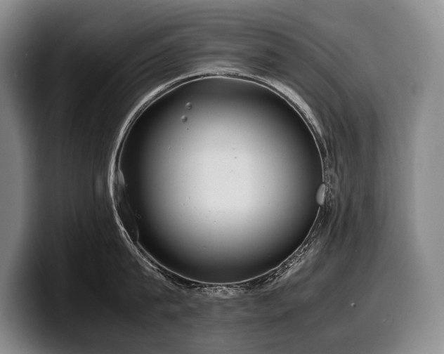 X0000100310815200806051454