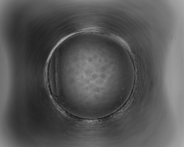 X0000100310816200806051454