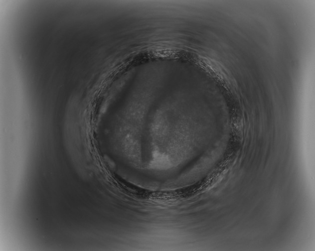 X0000100310817200806051454