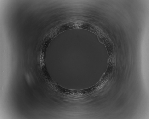 X0000100310818200806051454