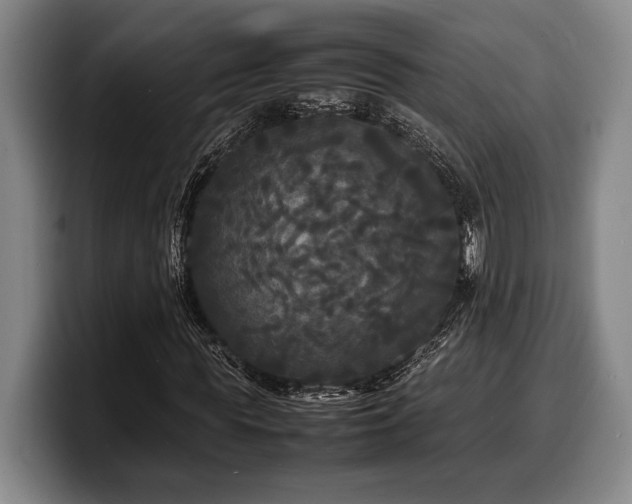 X0000100310819200806051454
