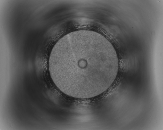 X0000100310820200806051454